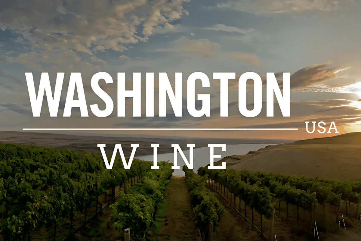 Washington Wines