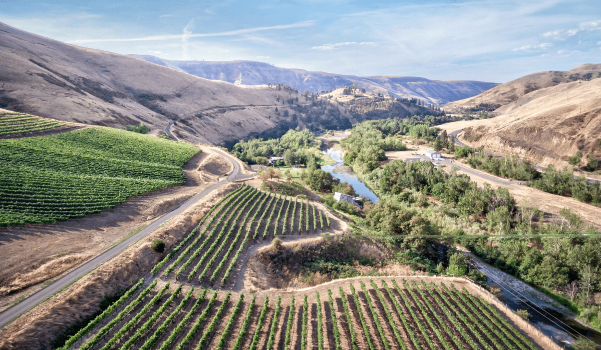 Lewis-Clark Valley Vineyard River CC